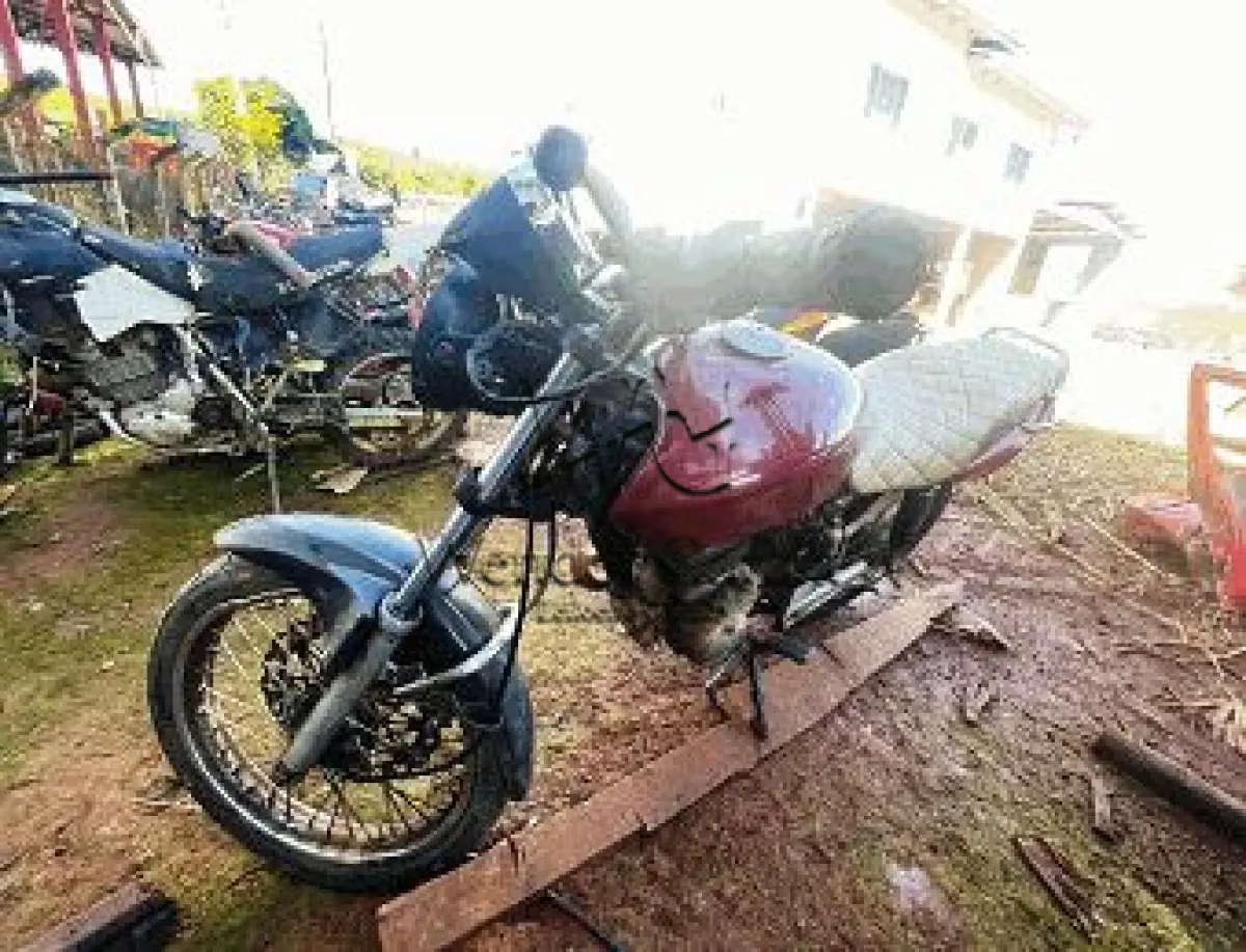 LOTE 3539