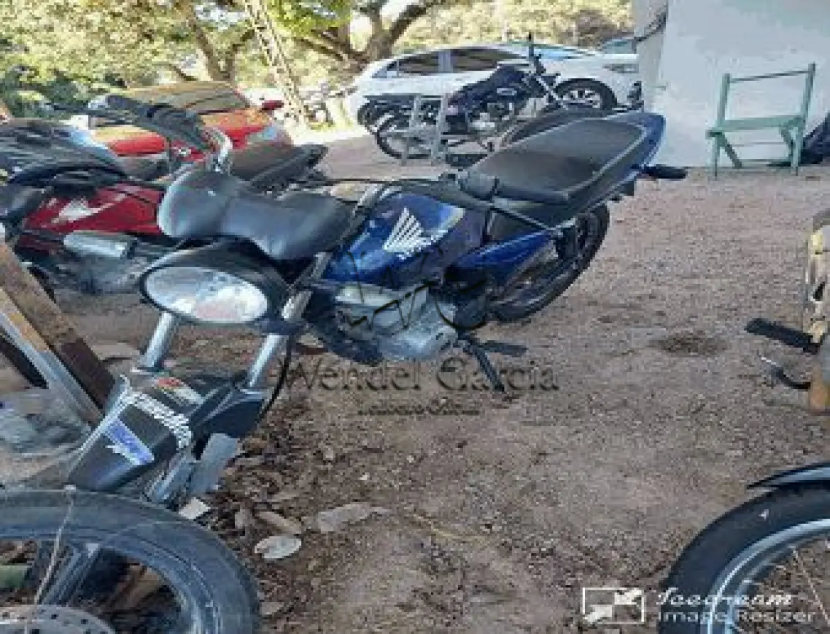 LOTE 3558