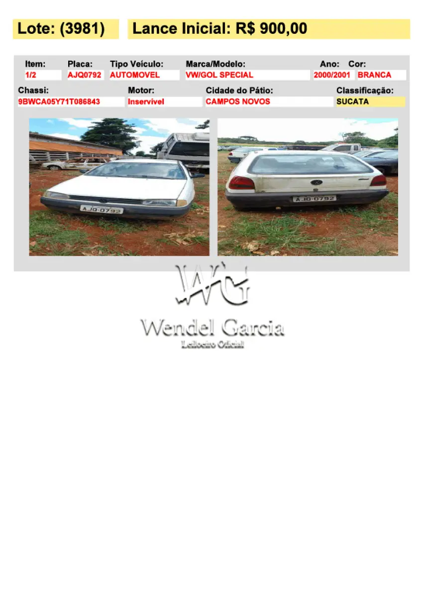 LOTE 3981