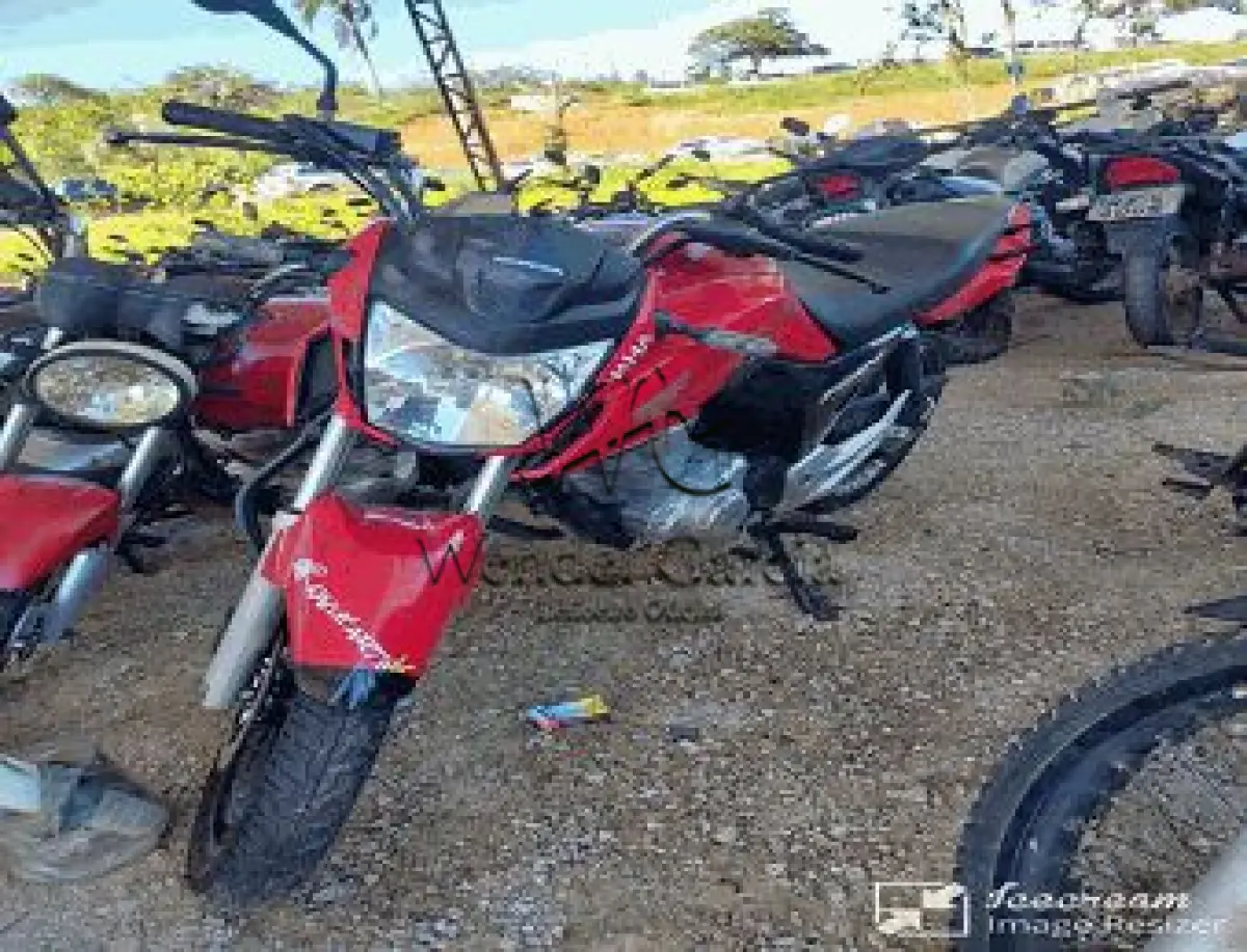 LOTE 3569