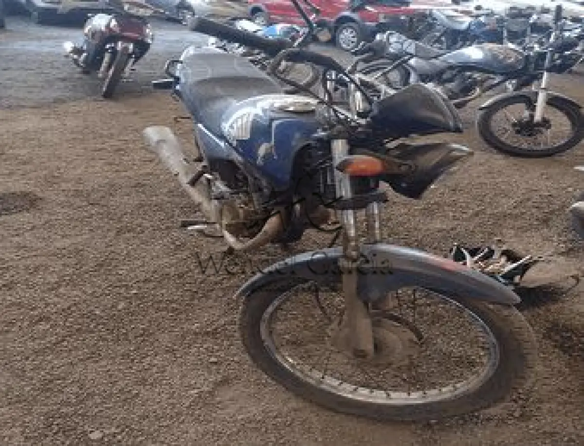 LOTE 3495