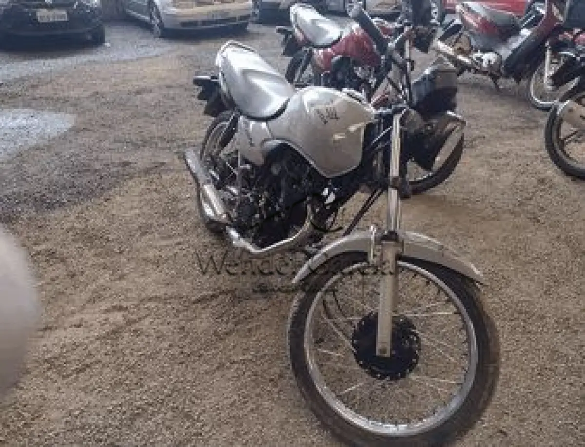 LOTE 3491