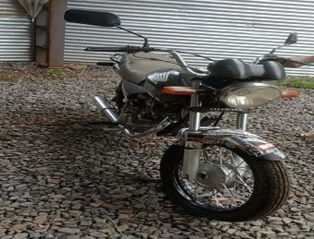 LOTE 3575