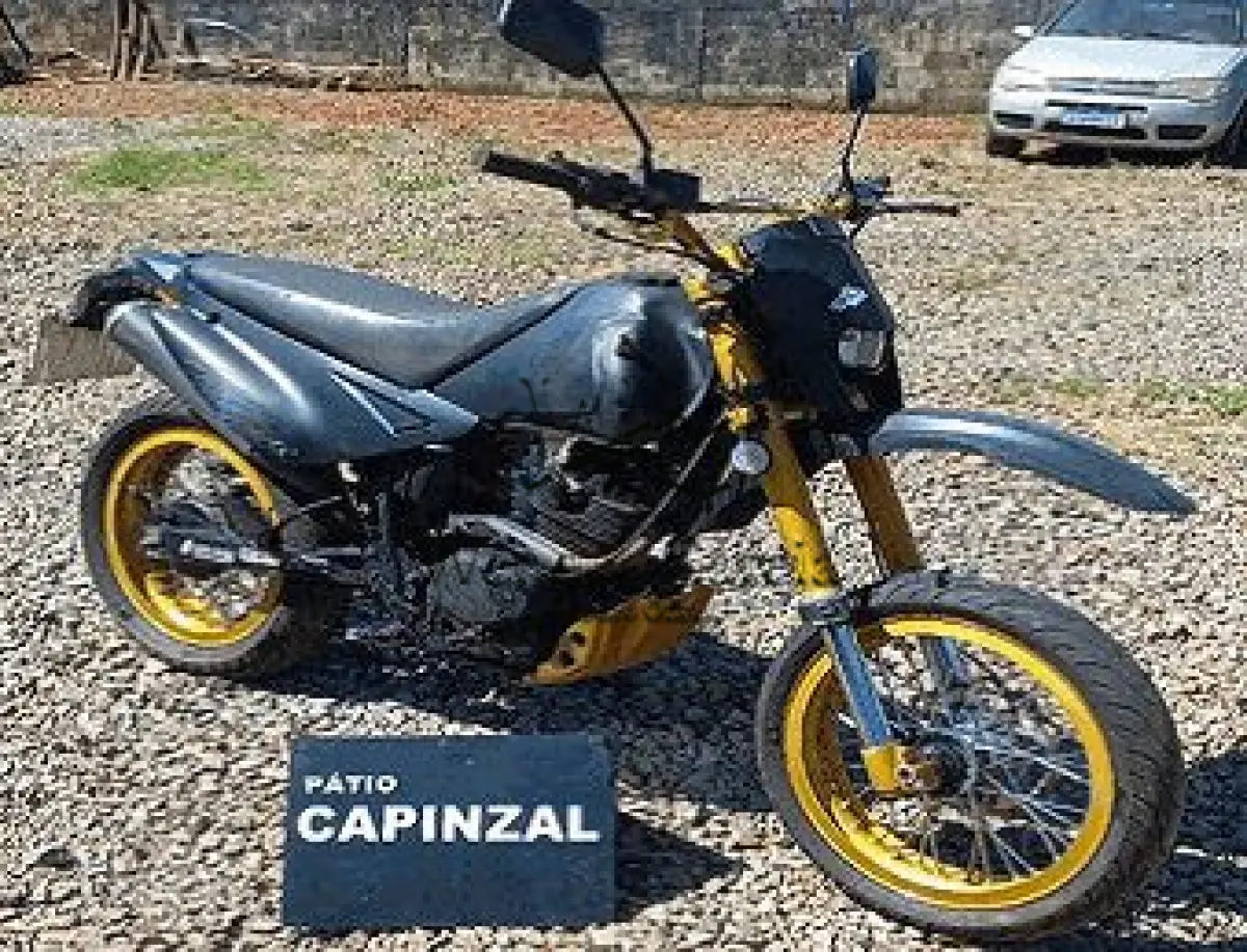 LOTE 3503