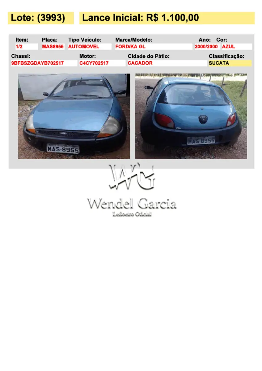 LOTE 3993