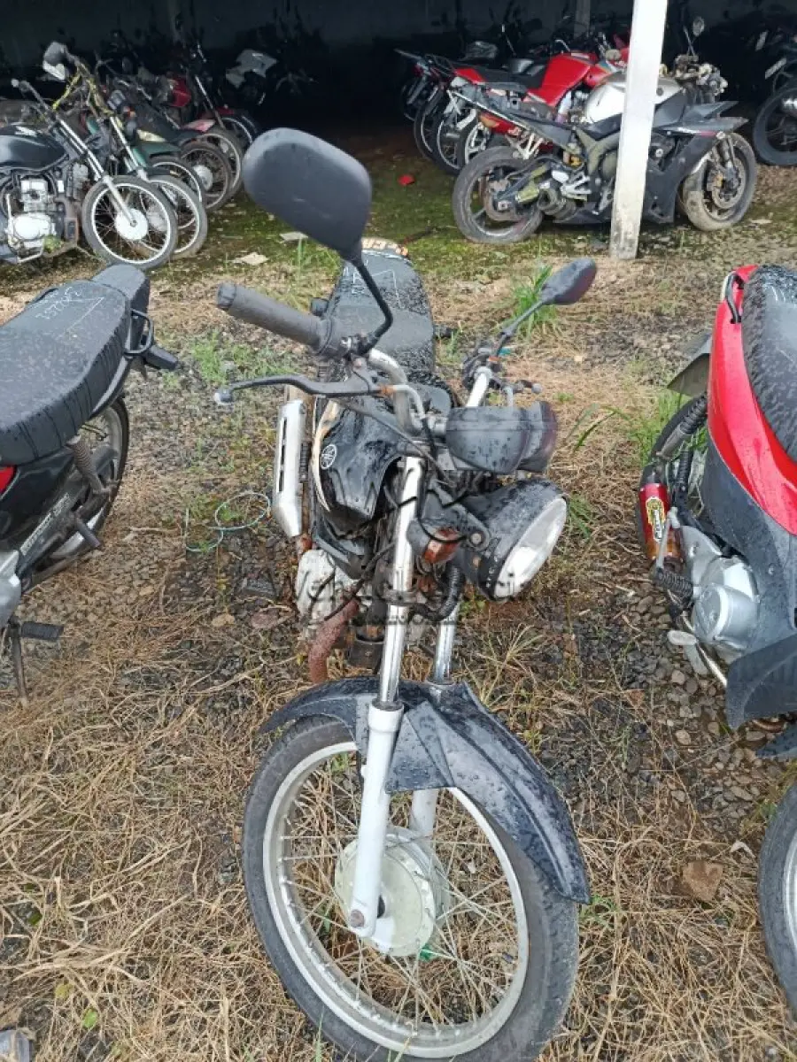 LOTE 0276