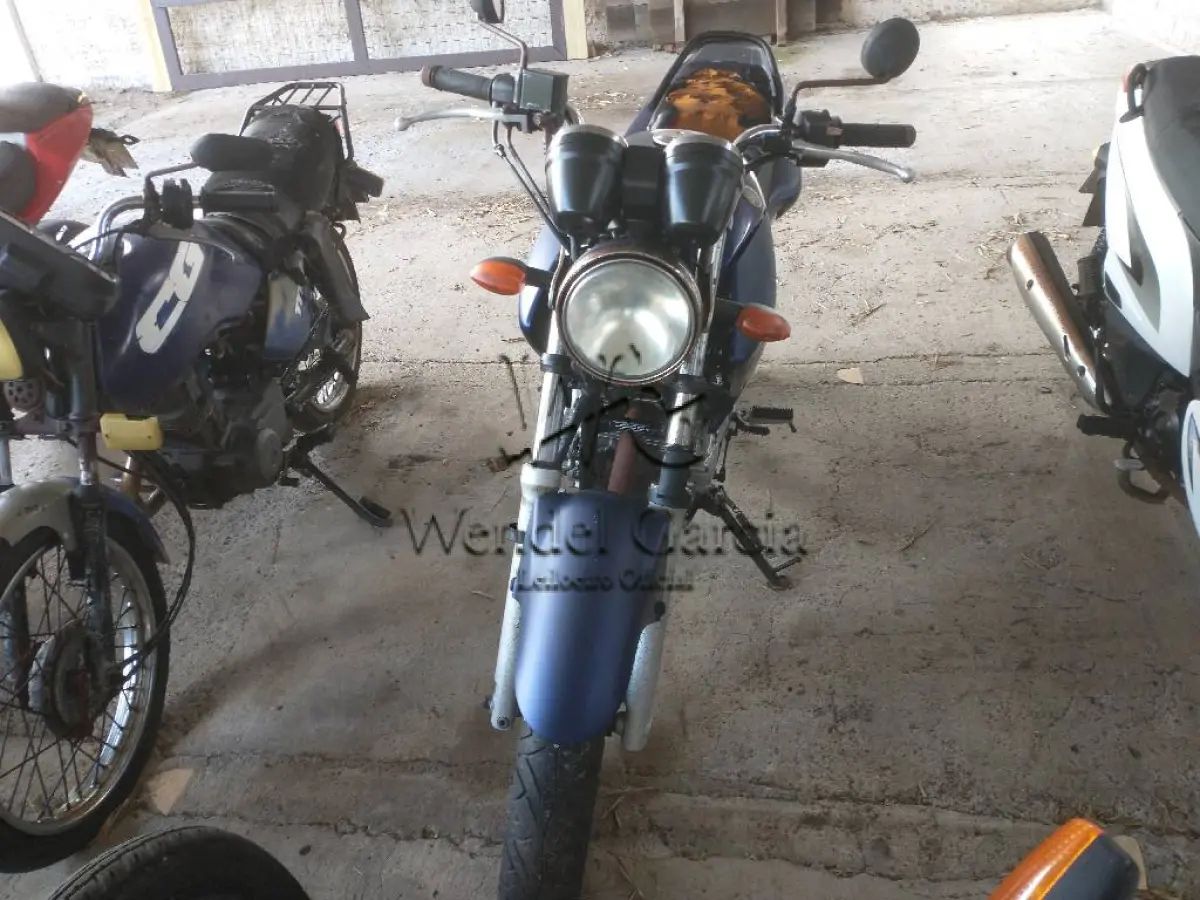 LOTE 0363