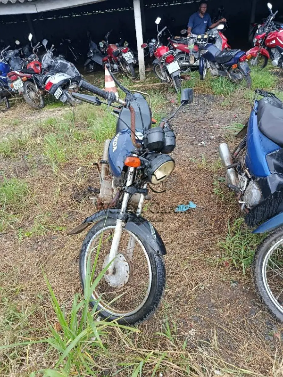 LOTE 0325