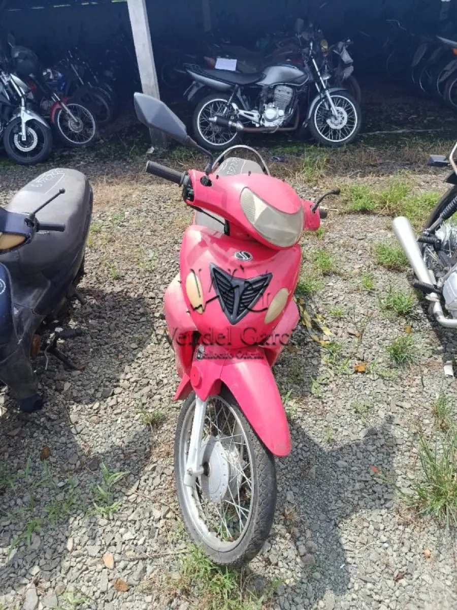 LOTE 0293