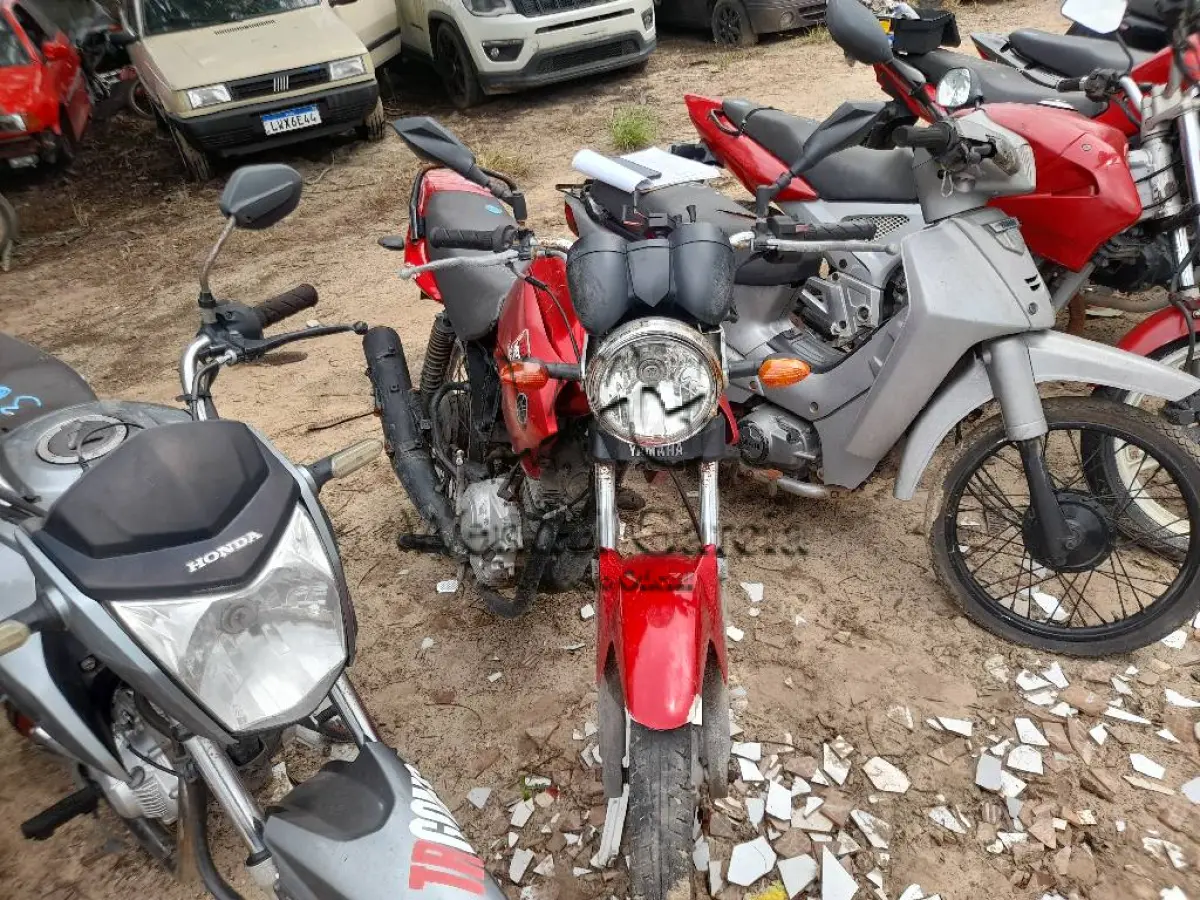 LOTE 0193