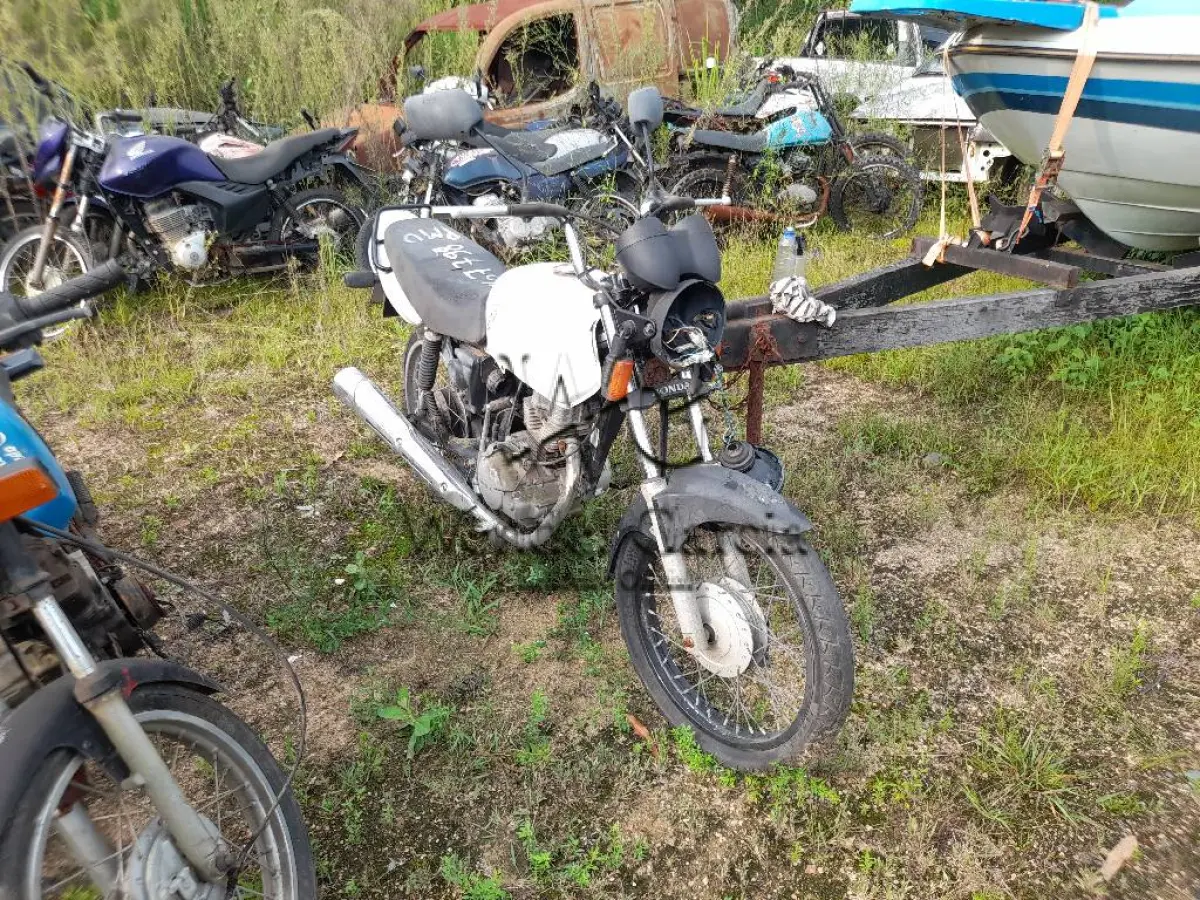 LOTE 0404