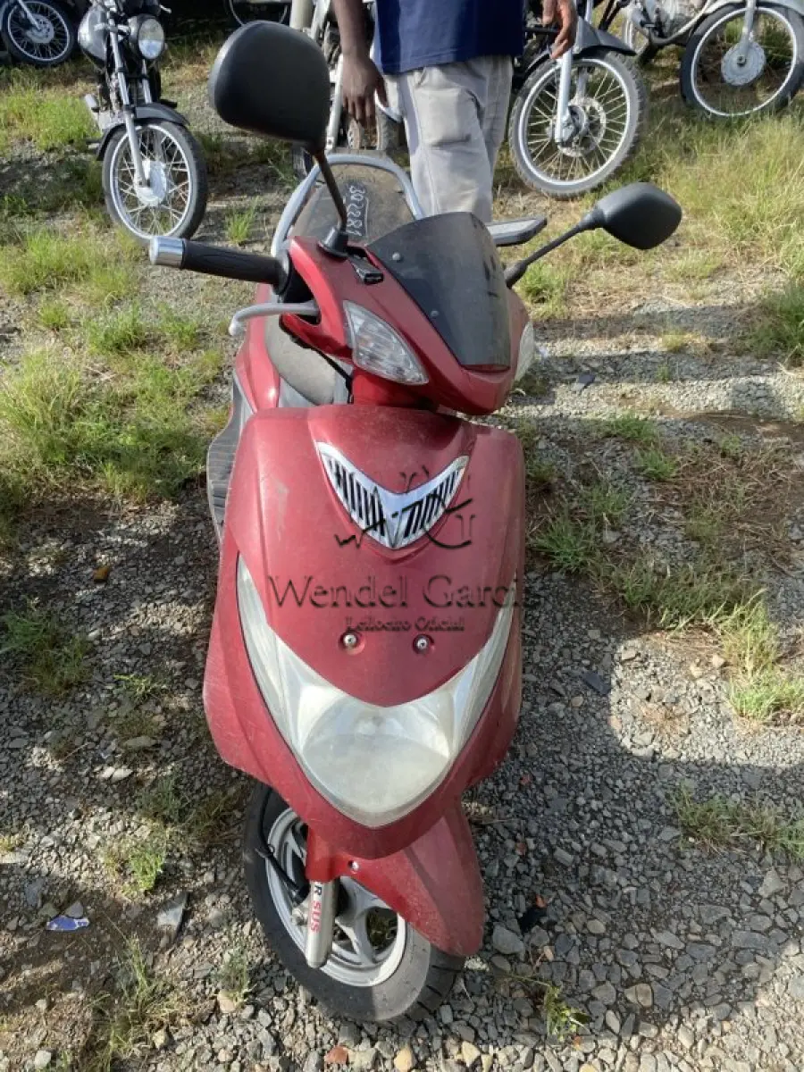 LOTE 0296