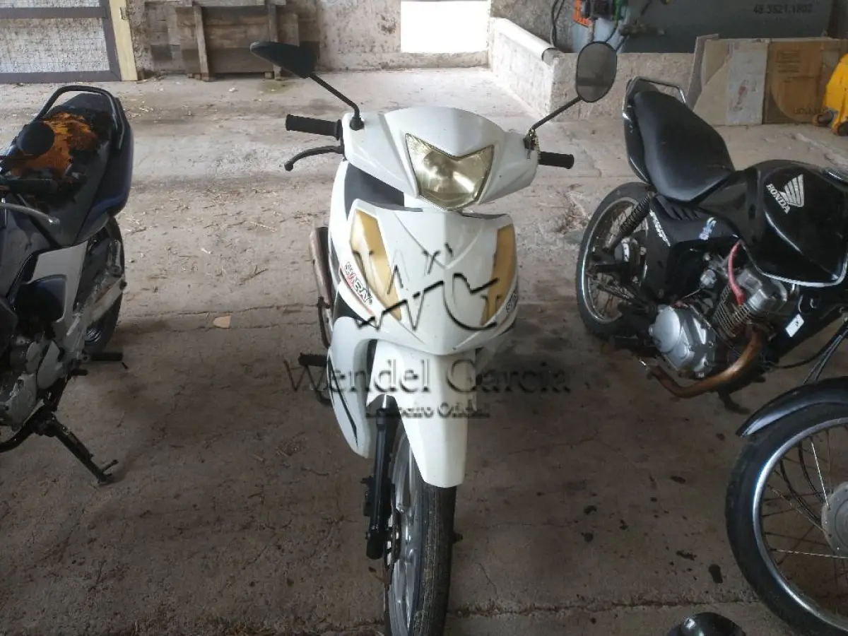 LOTE 0361
