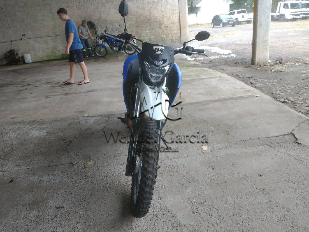 LOTE 0356