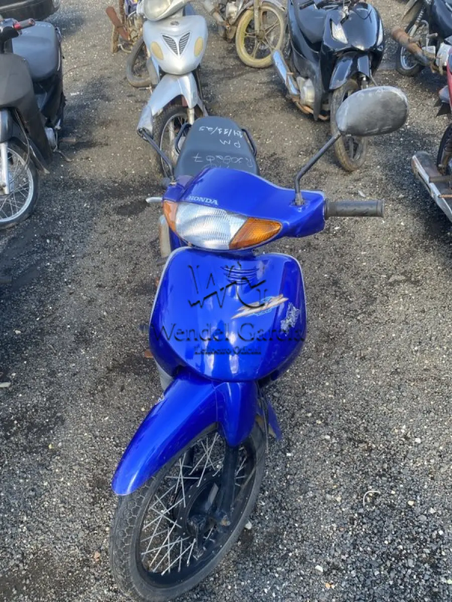 LOTE 0395