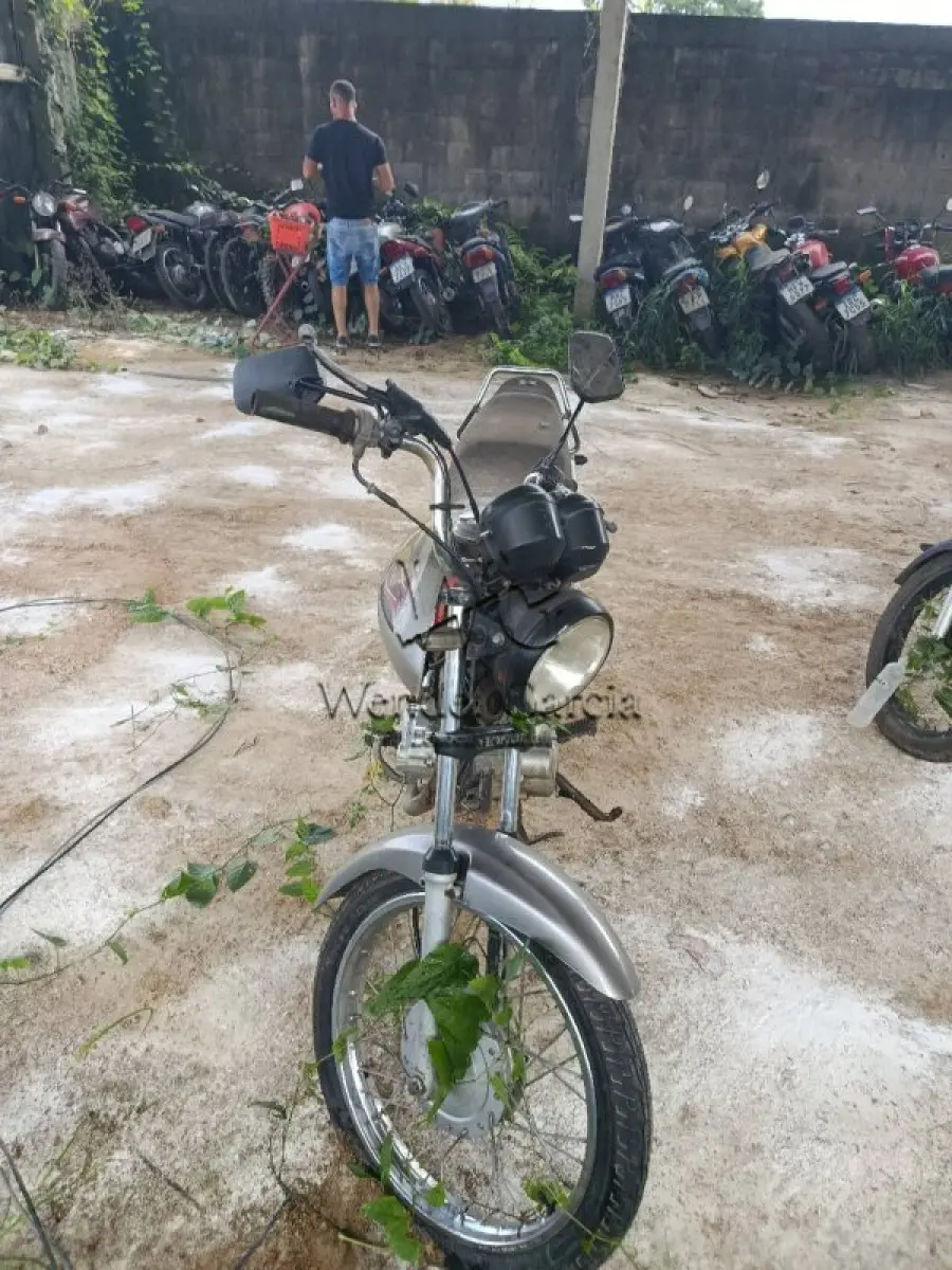 LOTE 0339
