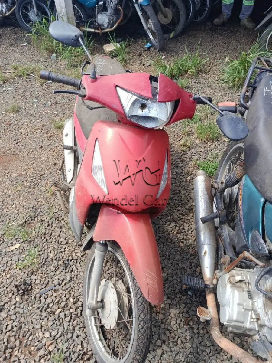 LOTE 0291