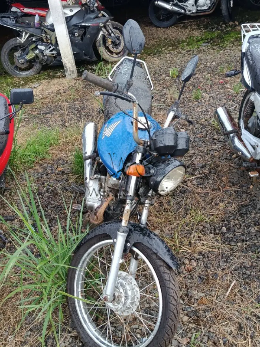 LOTE 0264