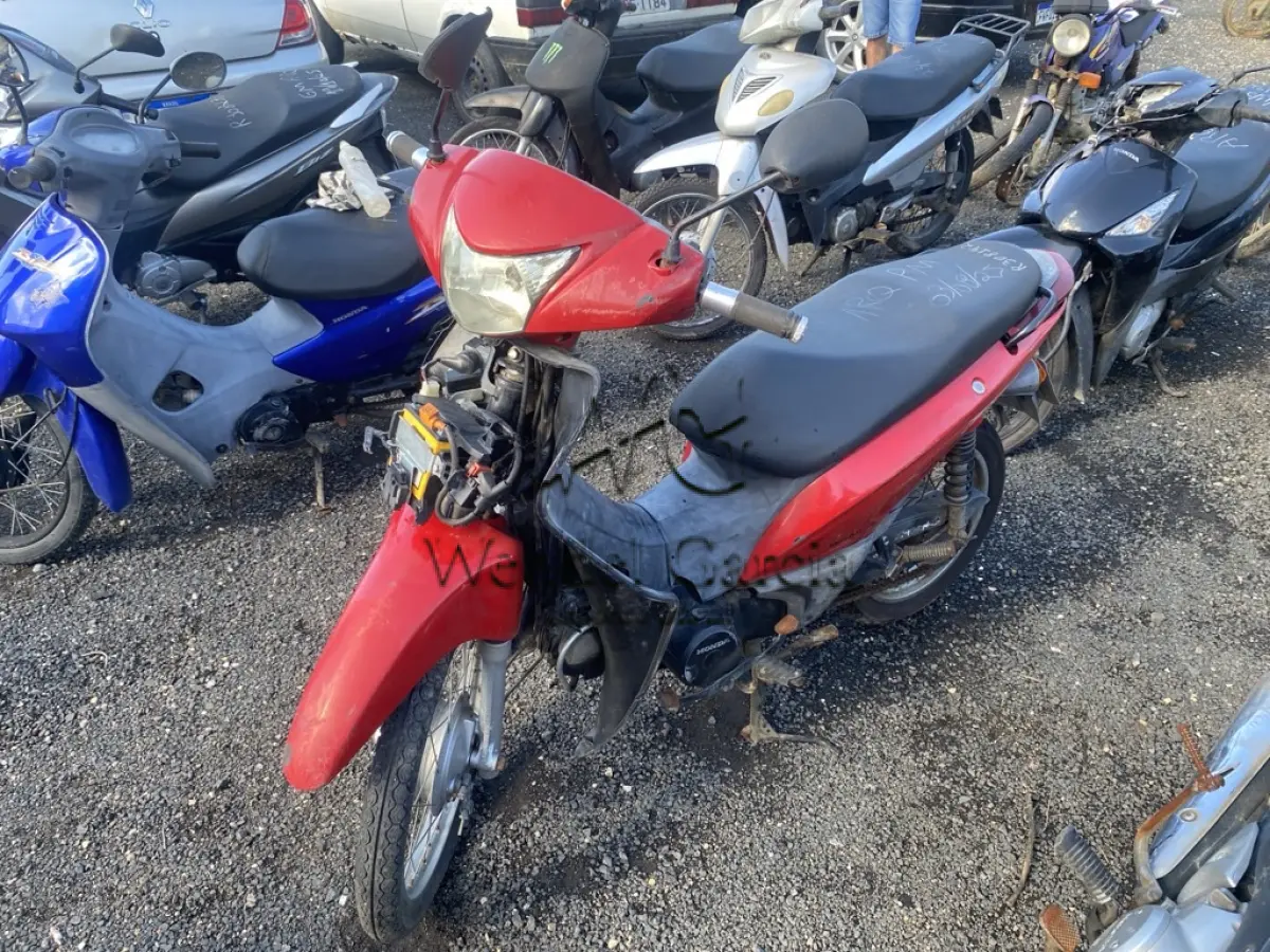 LOTE 0391