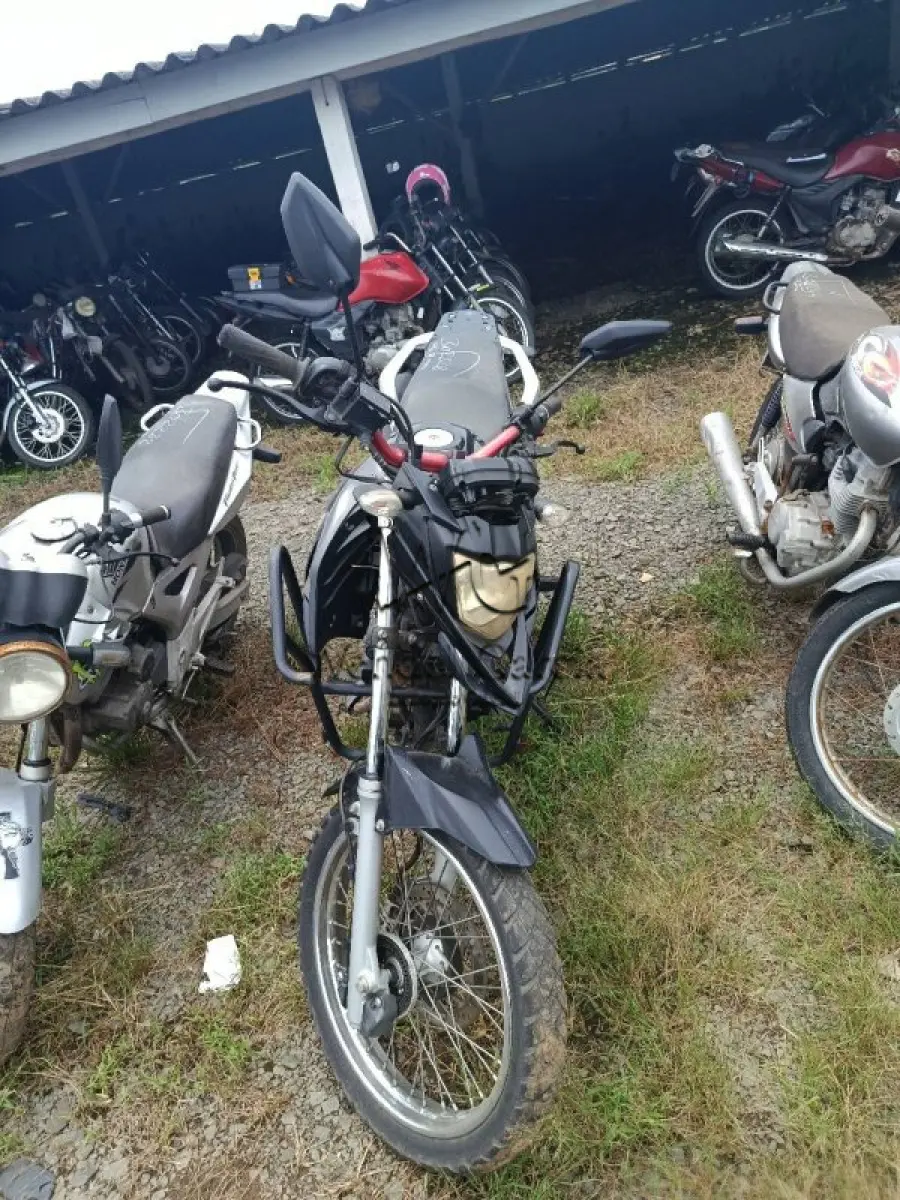 LOTE 0278