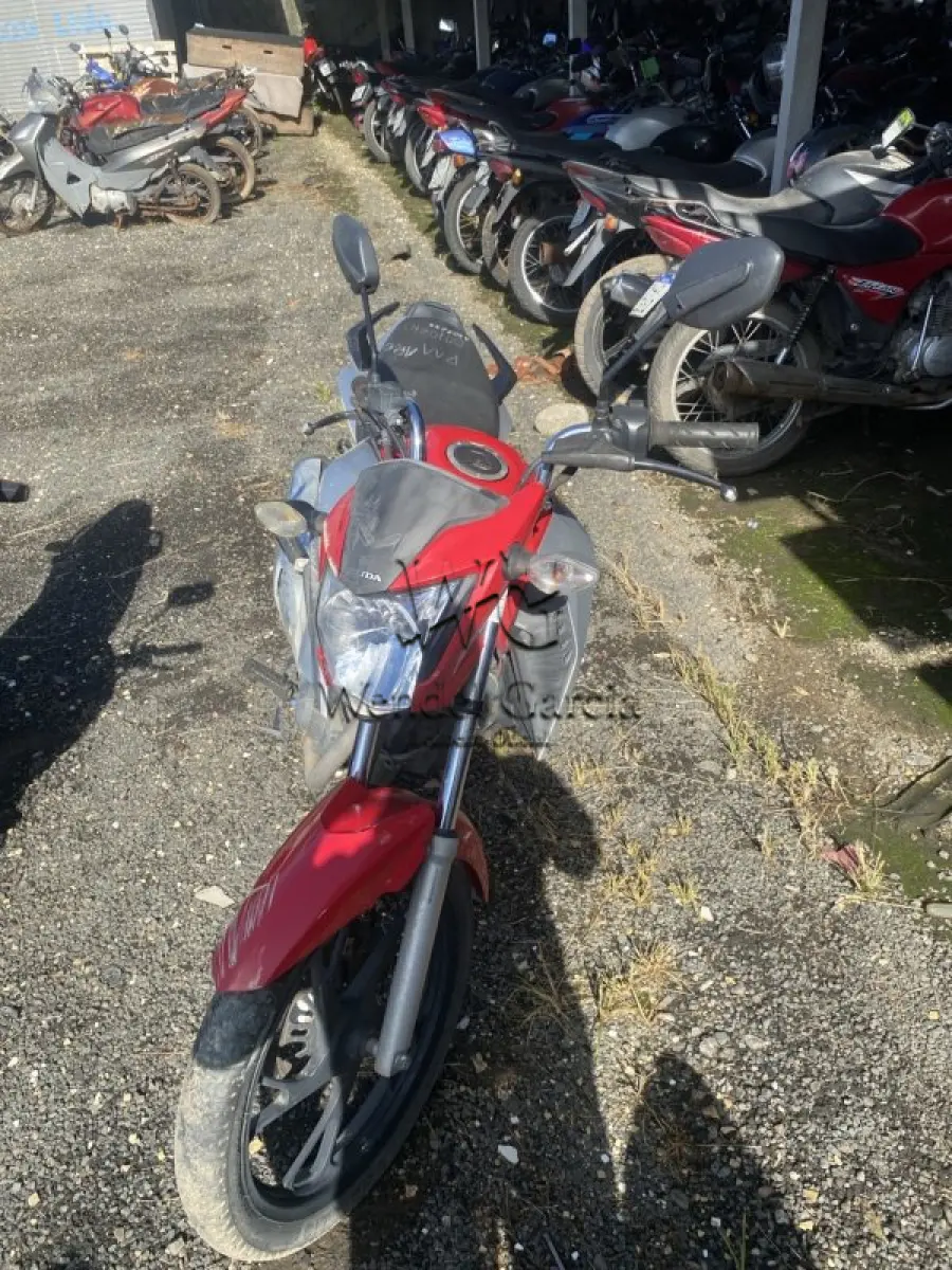 LOTE 0384
