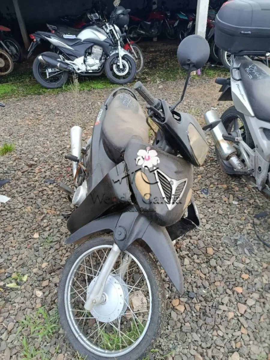 LOTE 0299