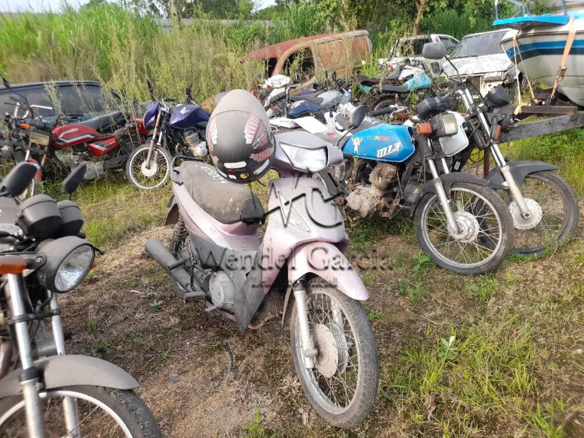 LOTE 0409