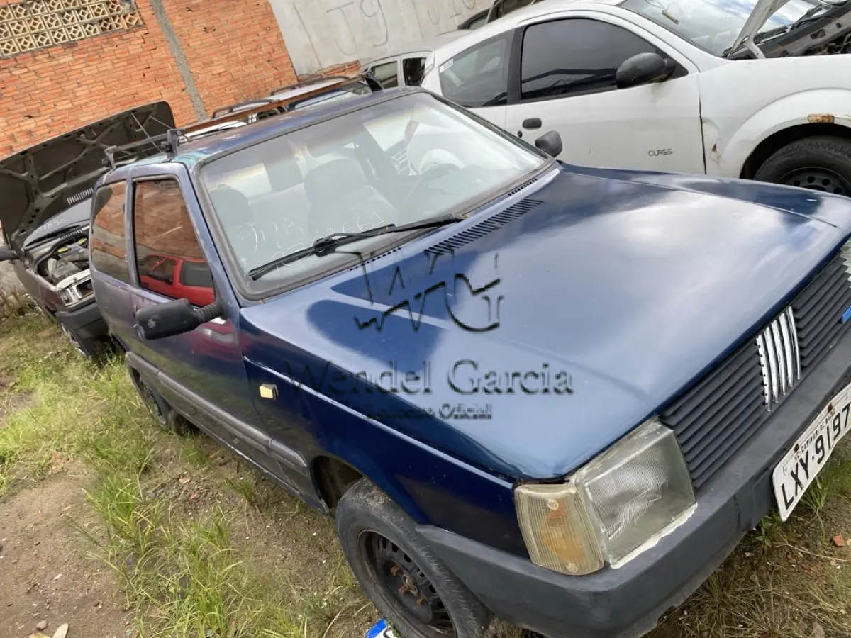 LOTE 0175