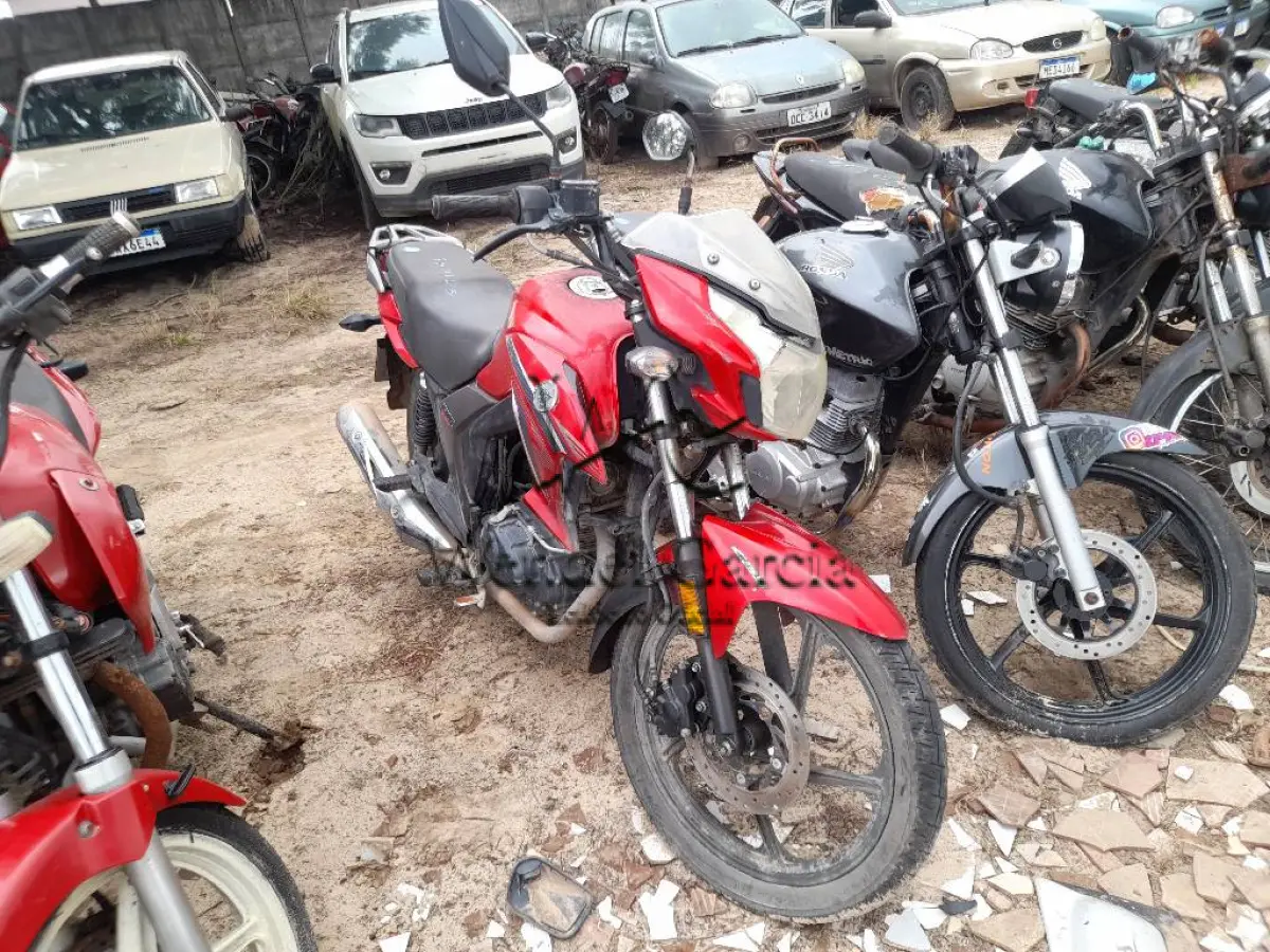 LOTE 0213