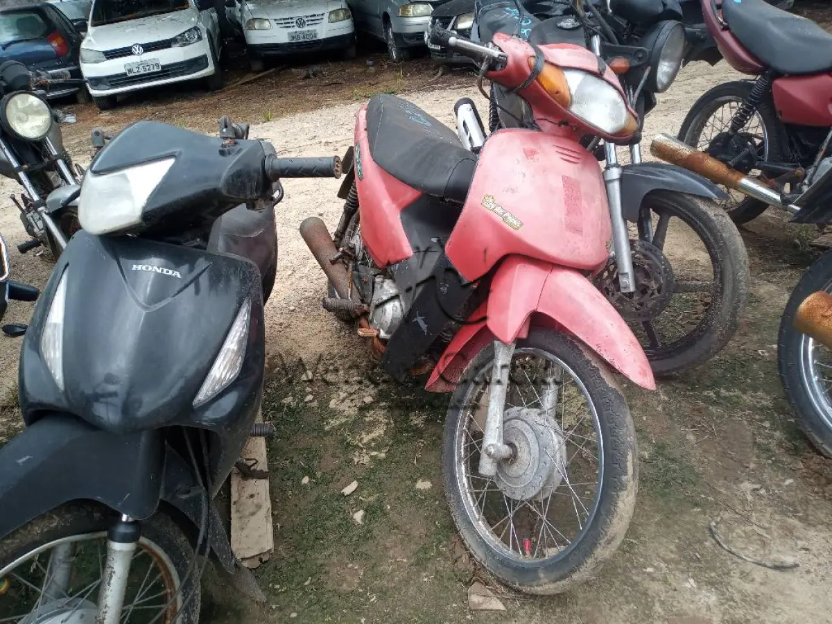 LOTE 0224