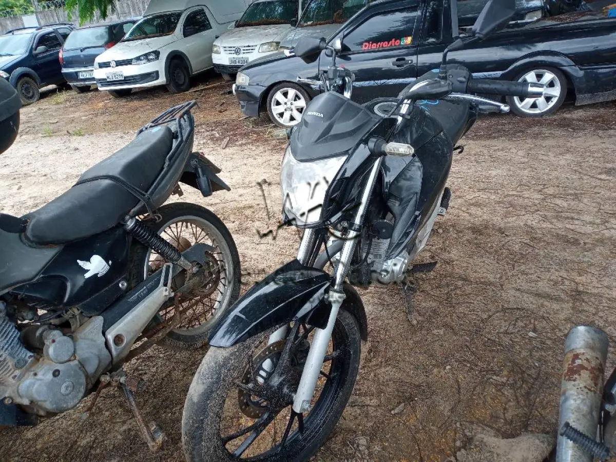 LOTE 0205