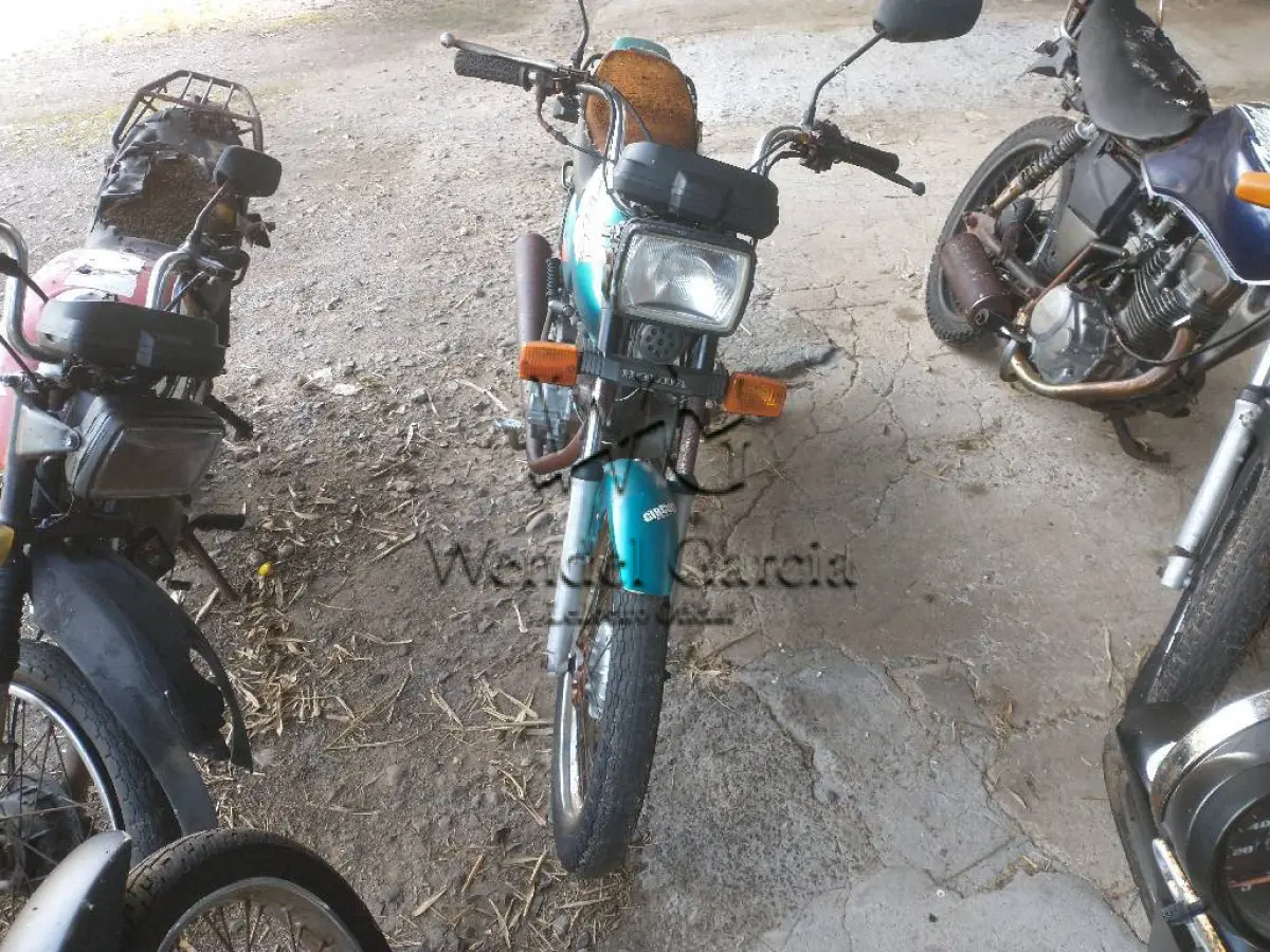 LOTE 0365