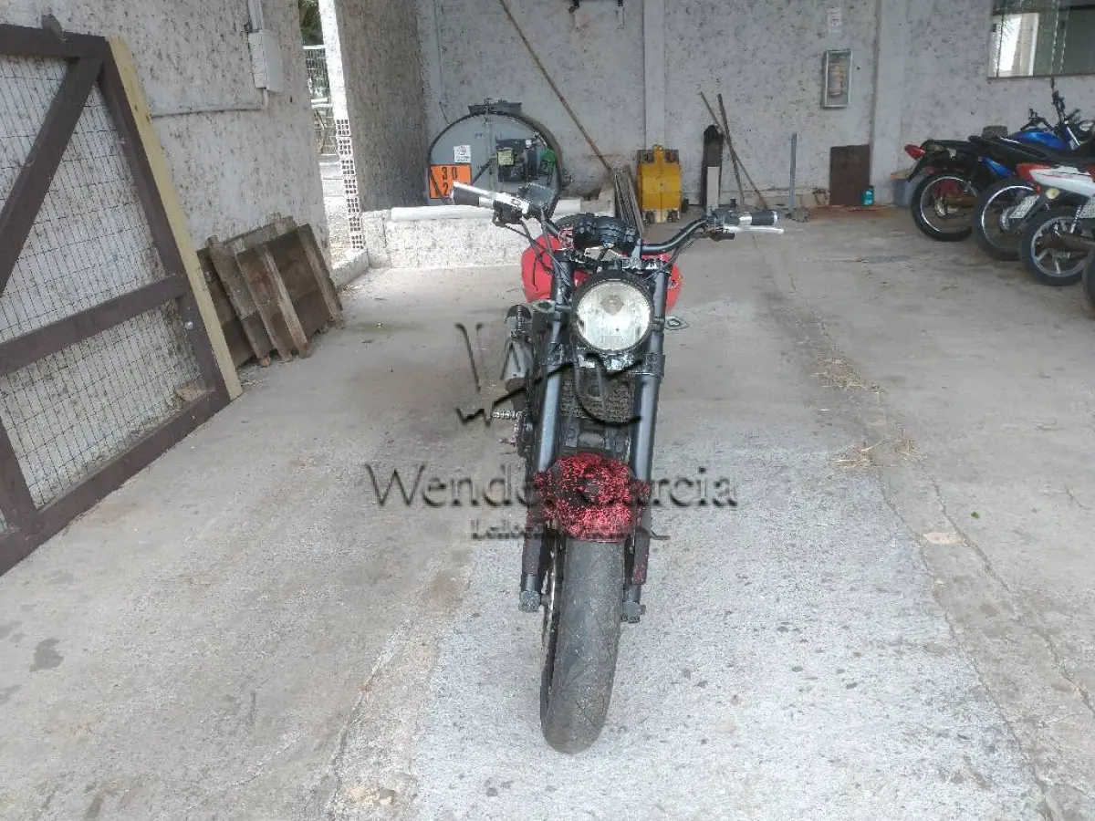 LOTE 0354
