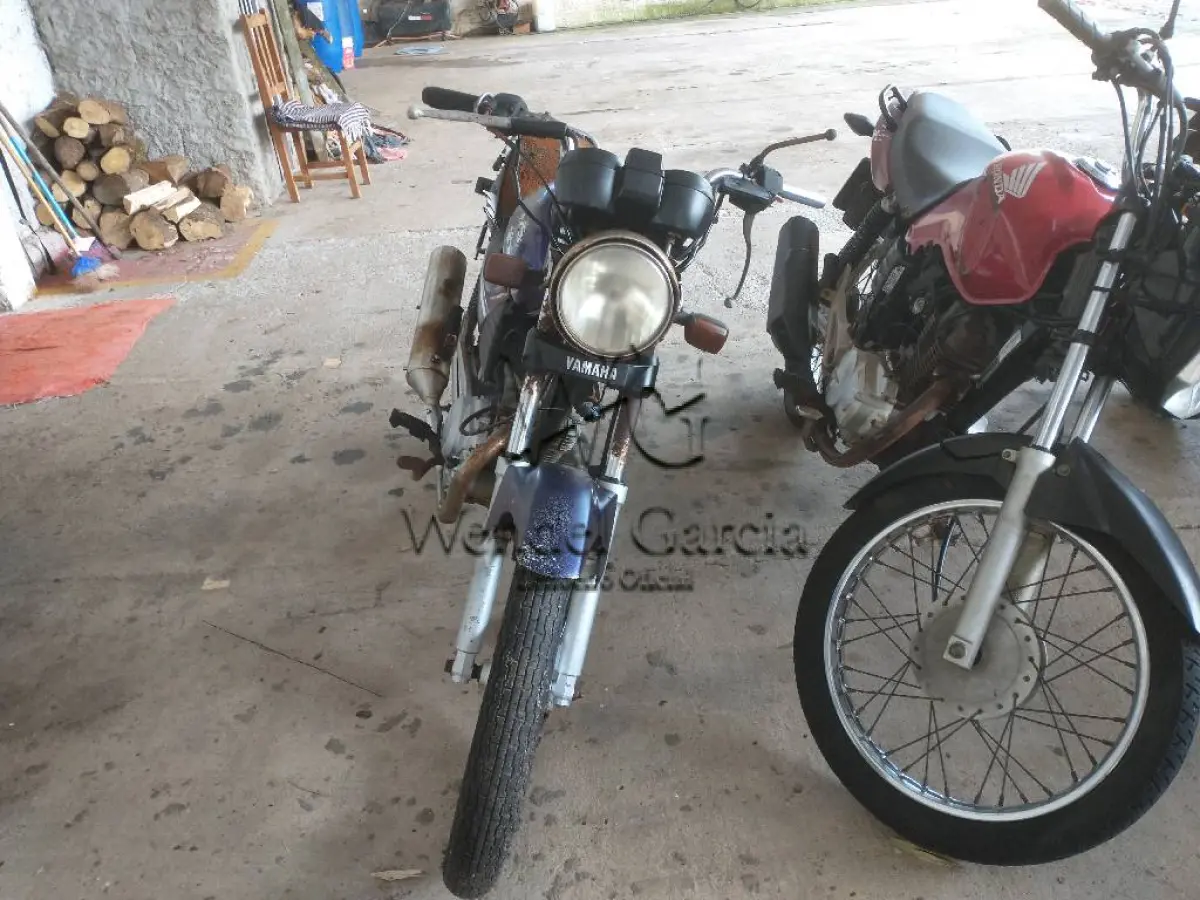 LOTE 0364