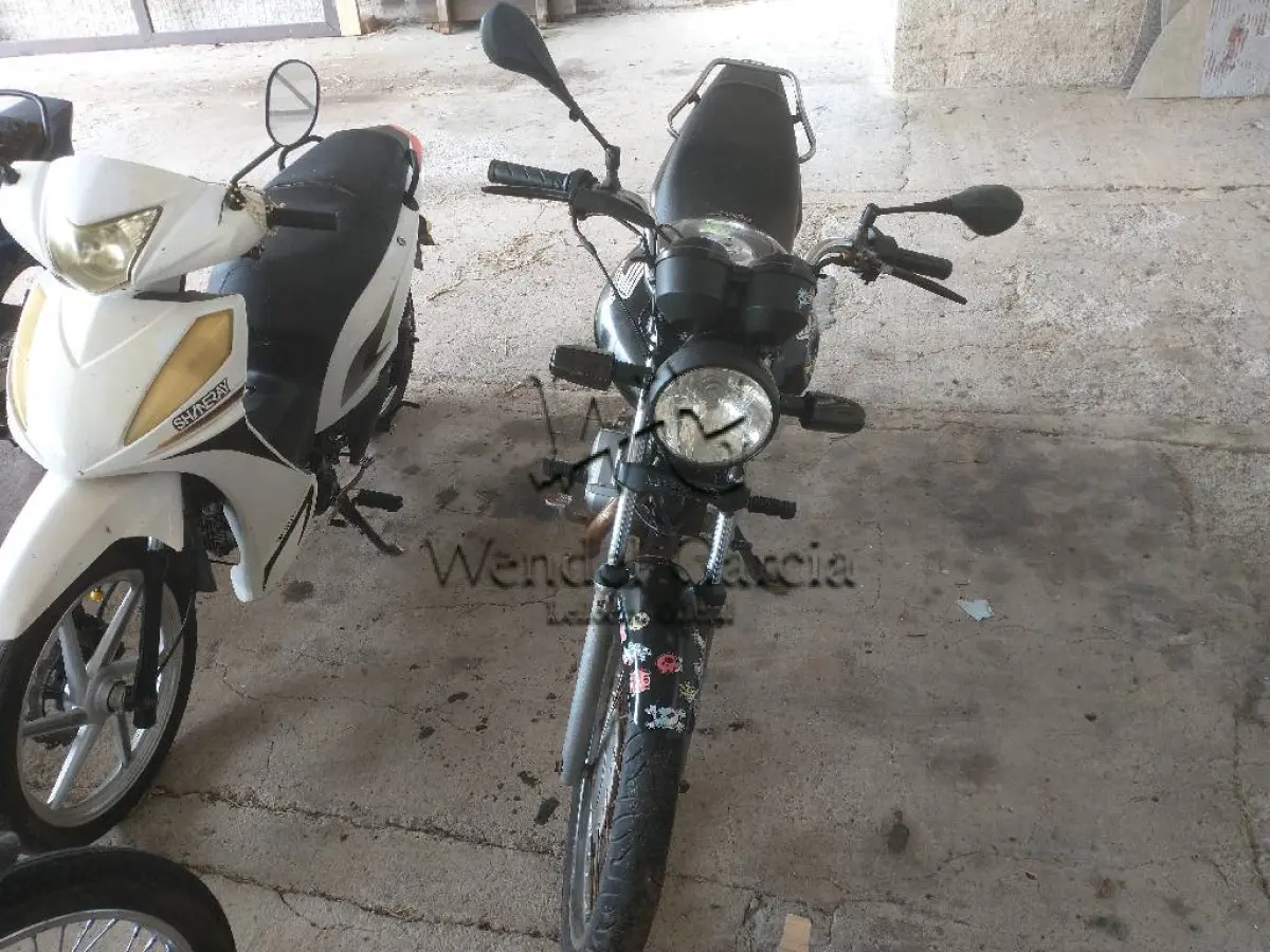 LOTE 0362