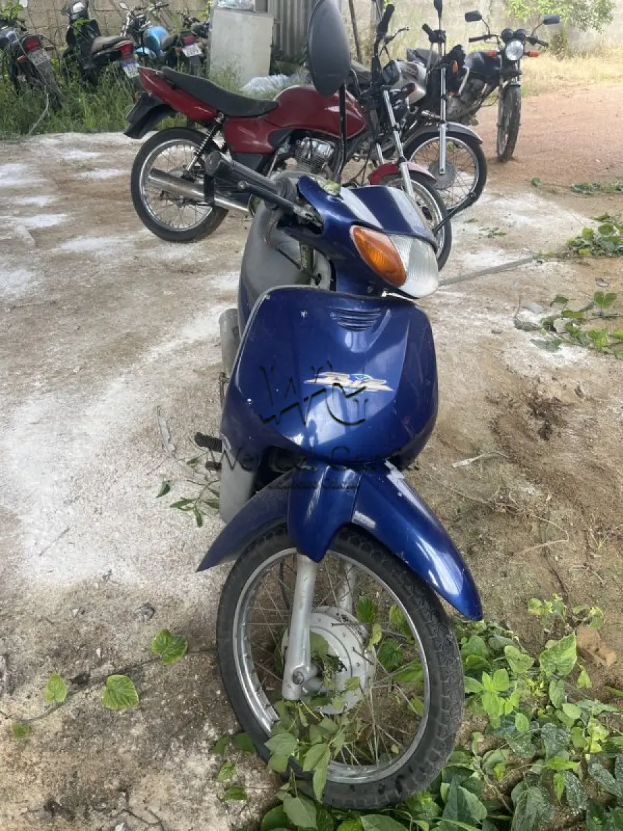 LOTE 0343