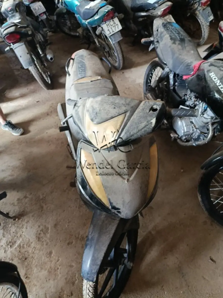 LOTE 0366