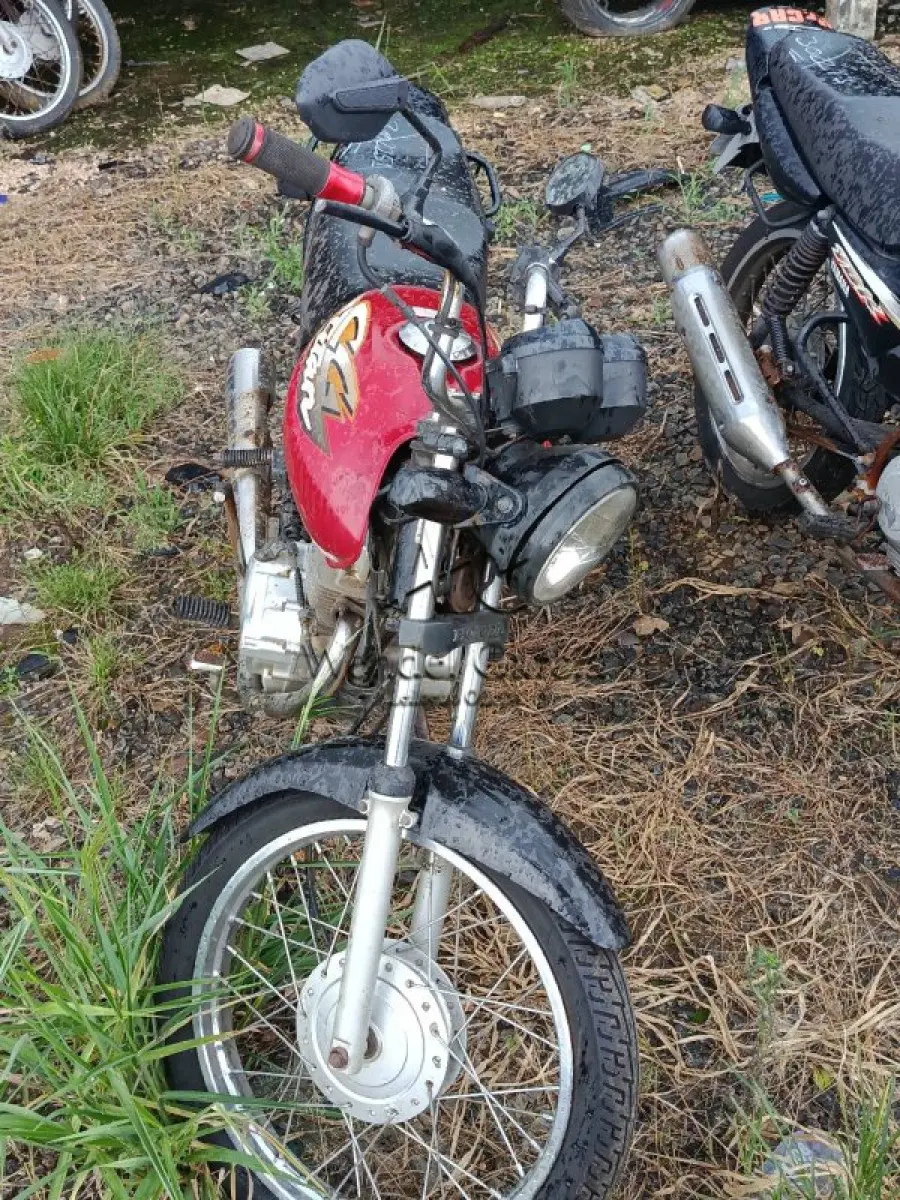 LOTE 0265