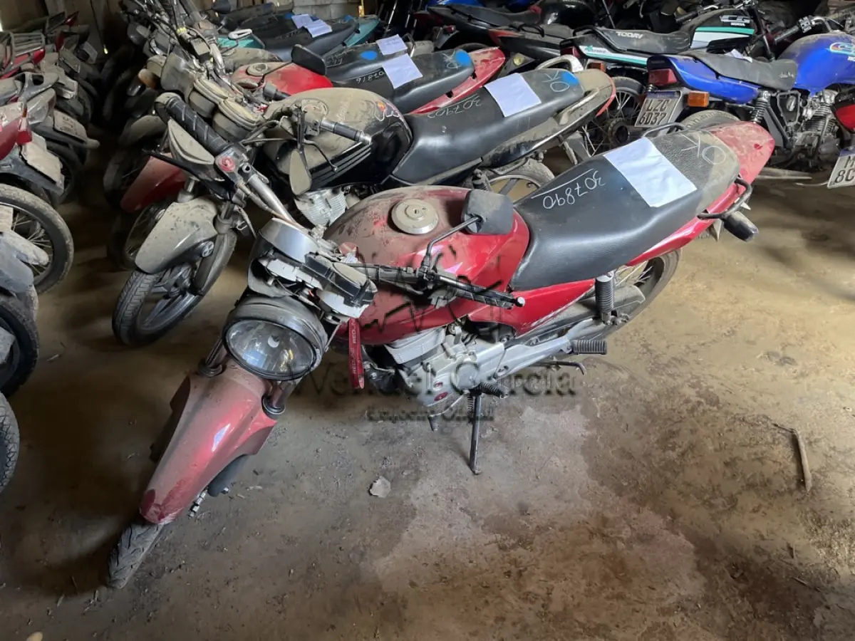 LOTE 0239