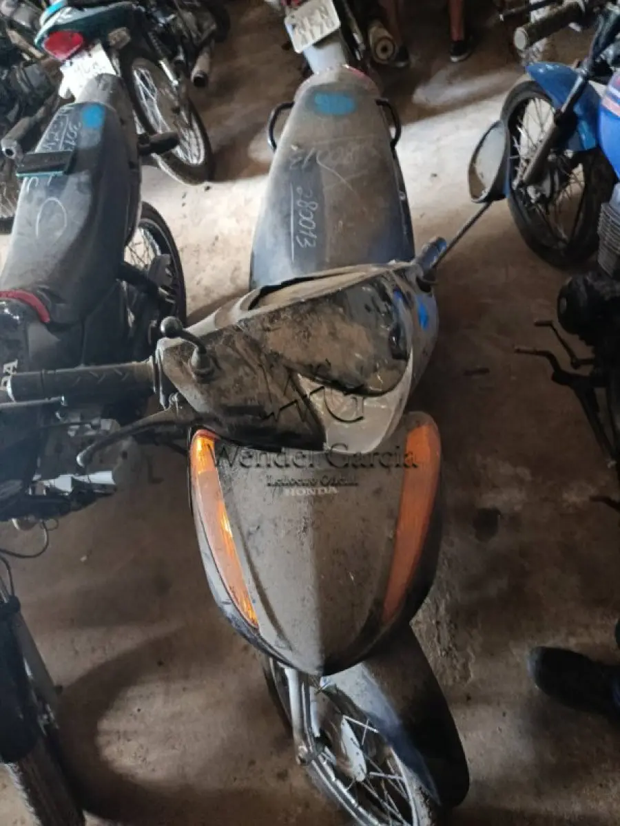 LOTE 0241
