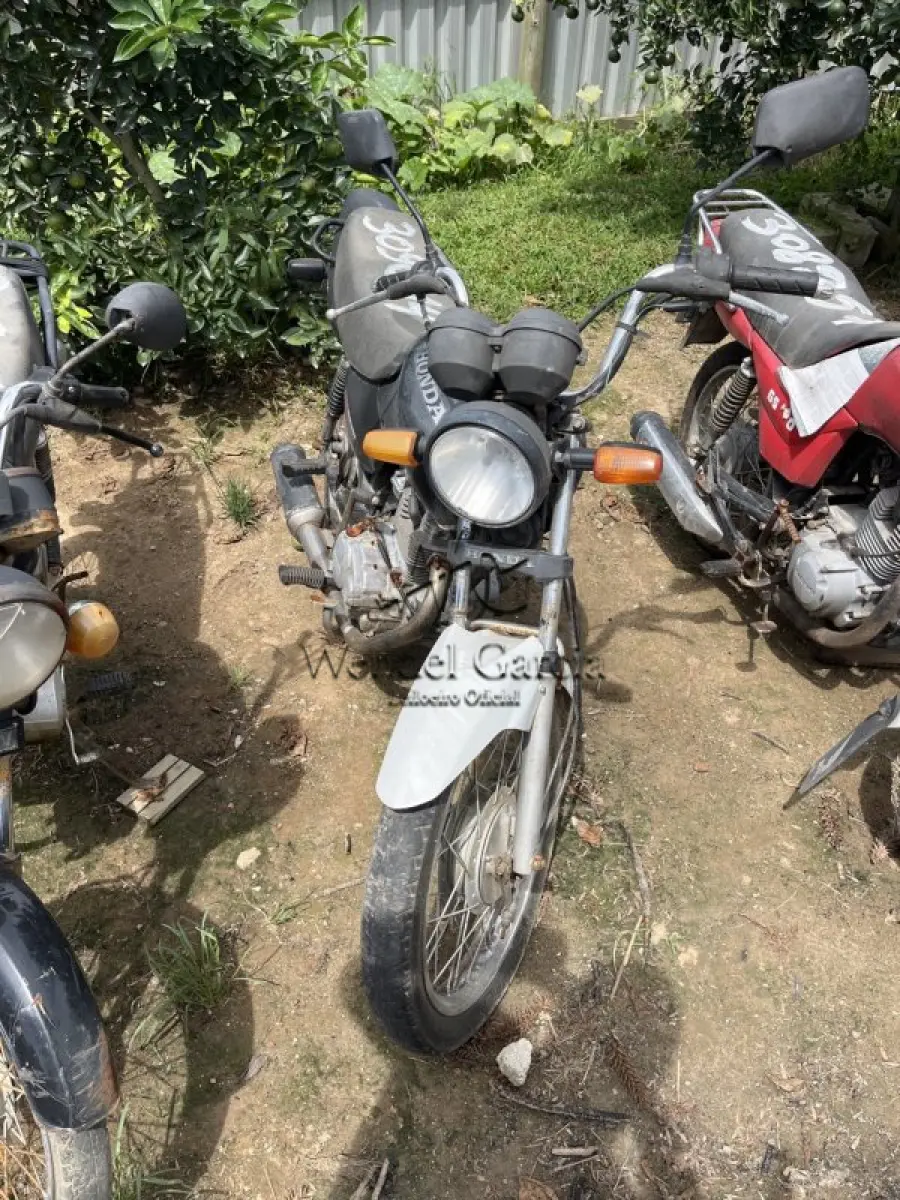 LOTE 0315