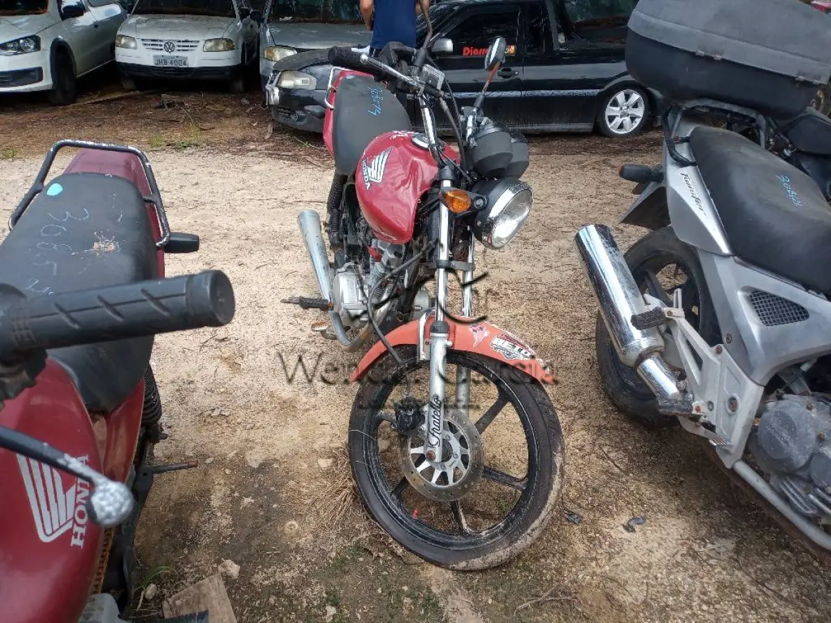 LOTE 0203