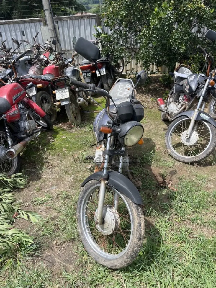 LOTE 0310