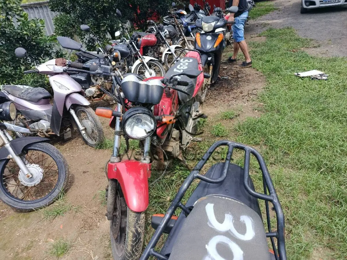 LOTE 0317