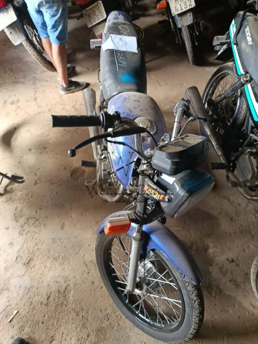 LOTE 0304