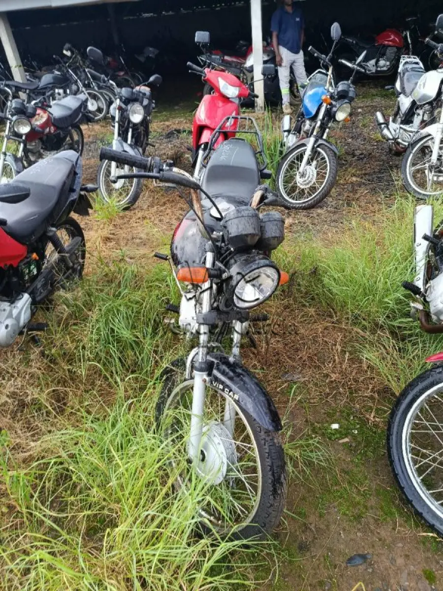 LOTE 0271