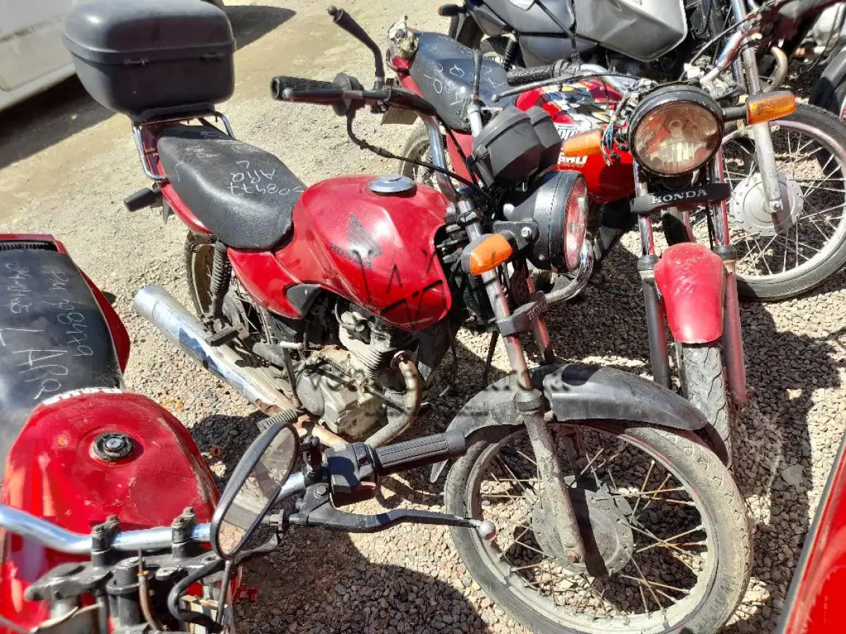LOTE 0253
