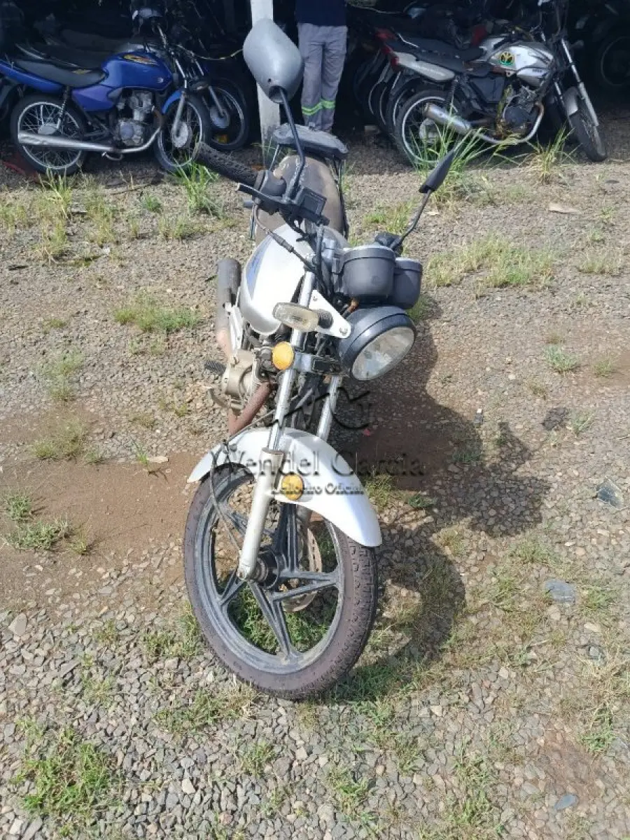 LOTE 0266