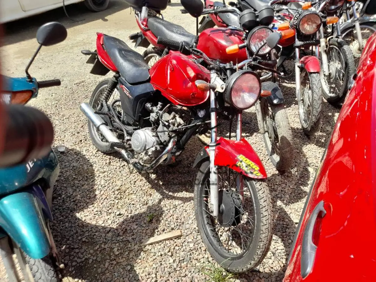 LOTE 0242