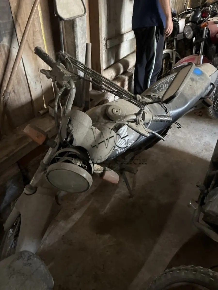 LOTE 0238
